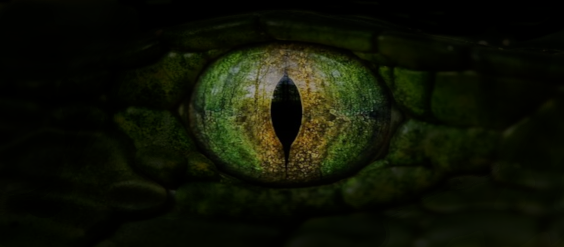 The Basilisk Stirs...